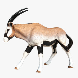3d model of oryx