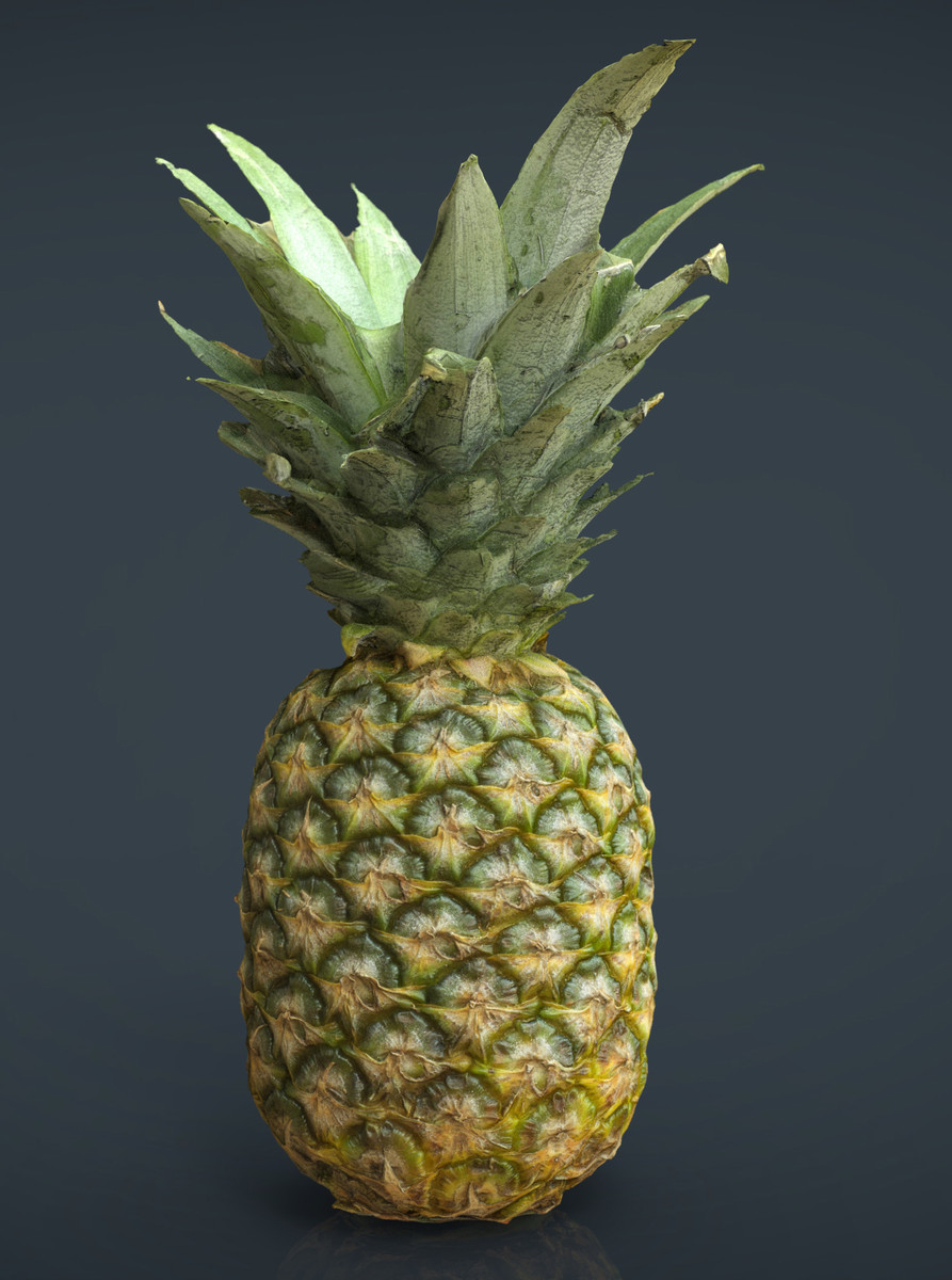 pineapple-3d-models-for-download-turbosquid