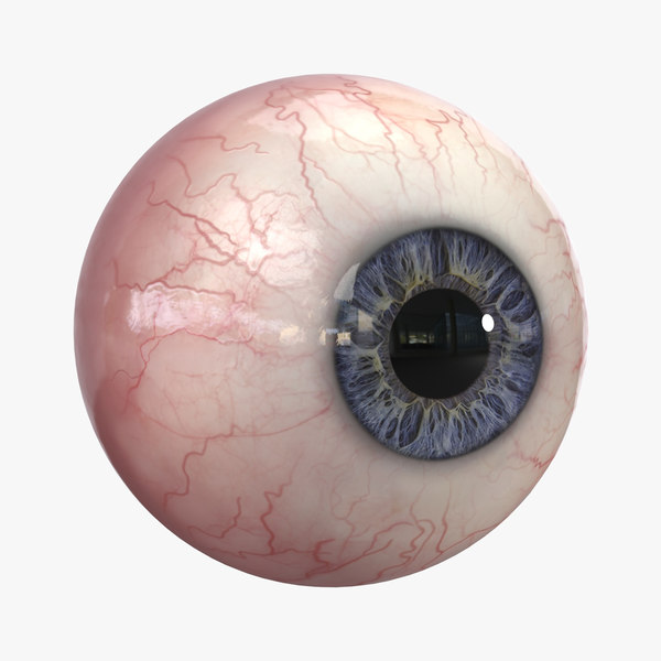 3d model human eye realistic.