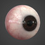 3d model human eye realistic