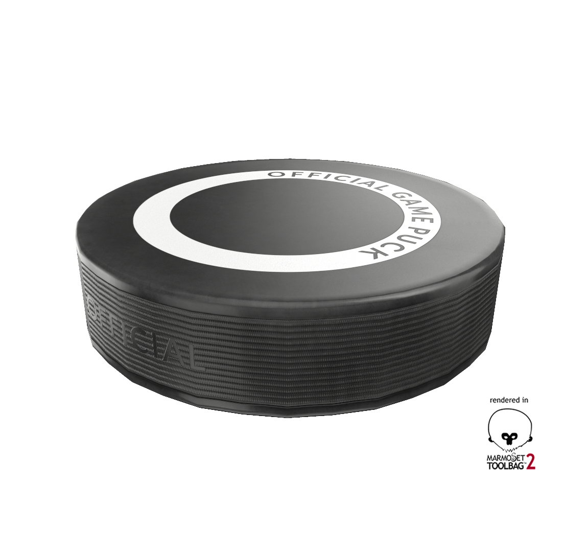 hockey puck 3 types 3d 3ds