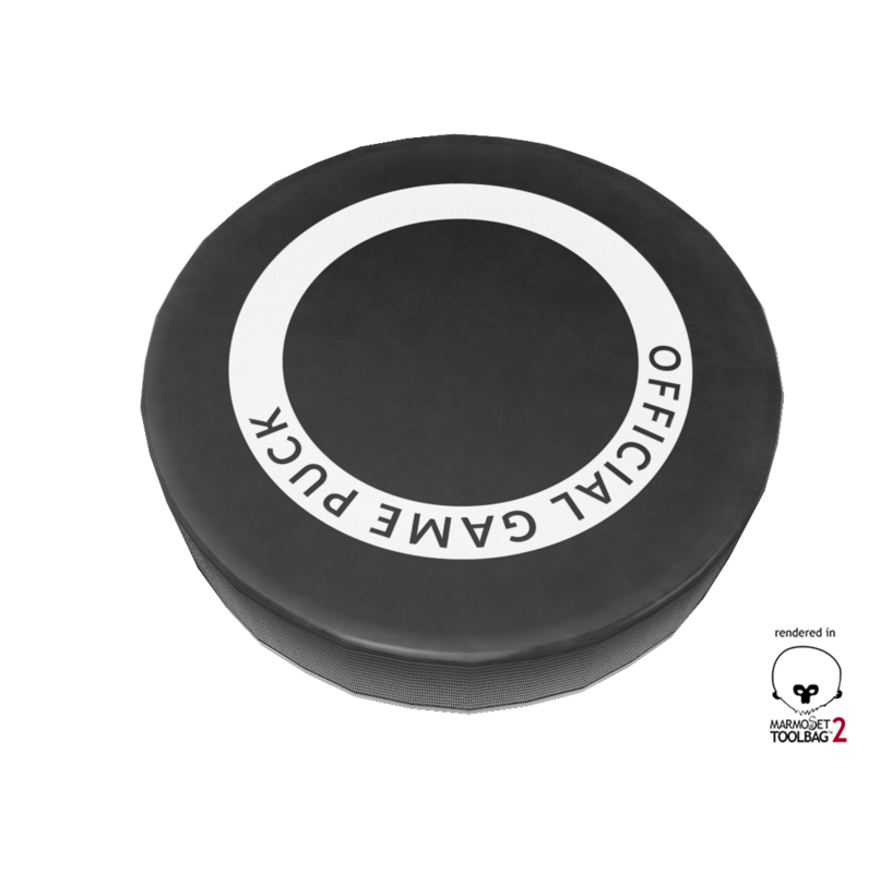 hockey puck 3 types 3d 3ds