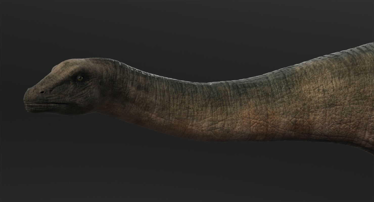 3d brontosaurus