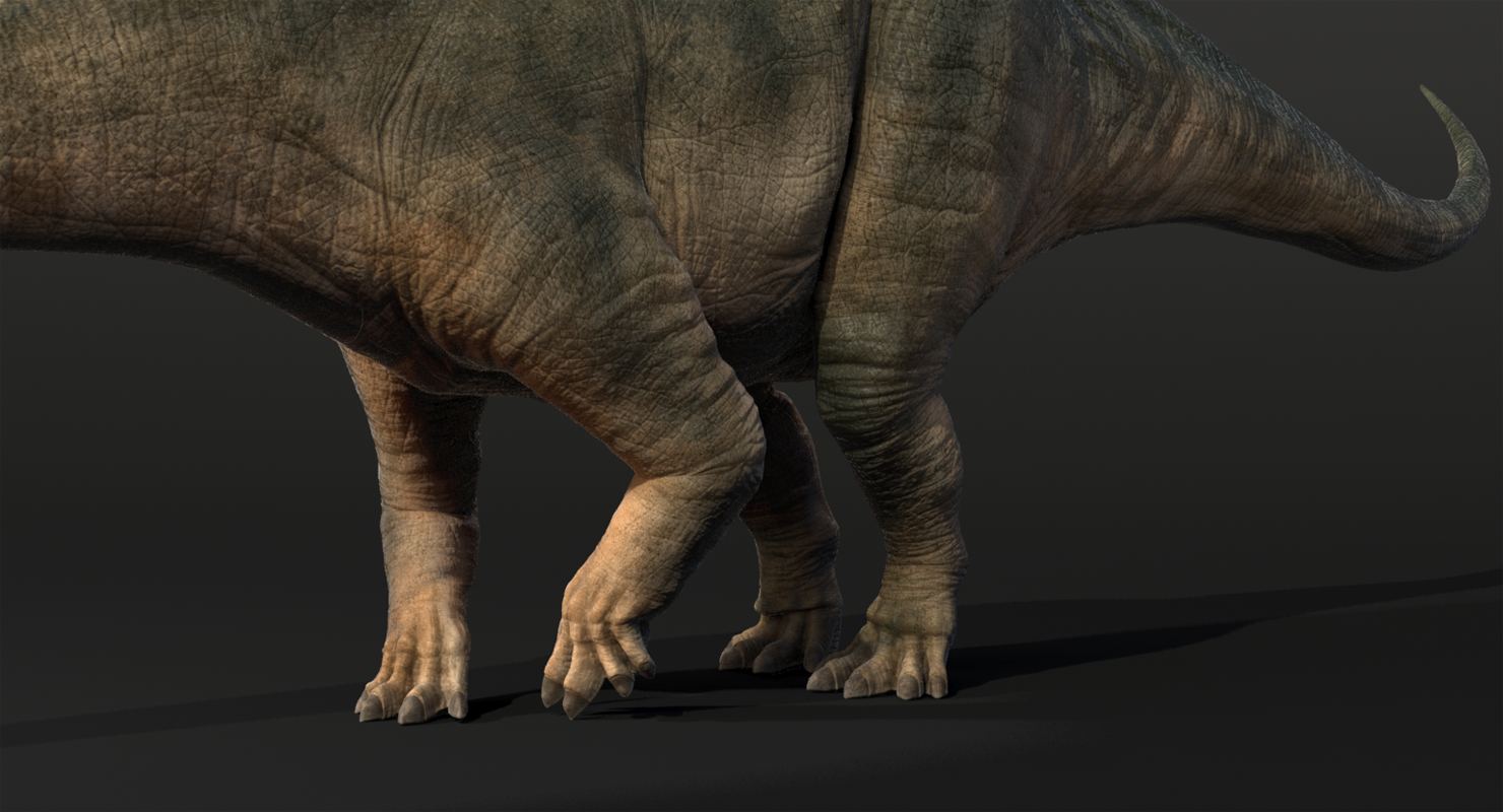 3d Brontosaurus Rigged