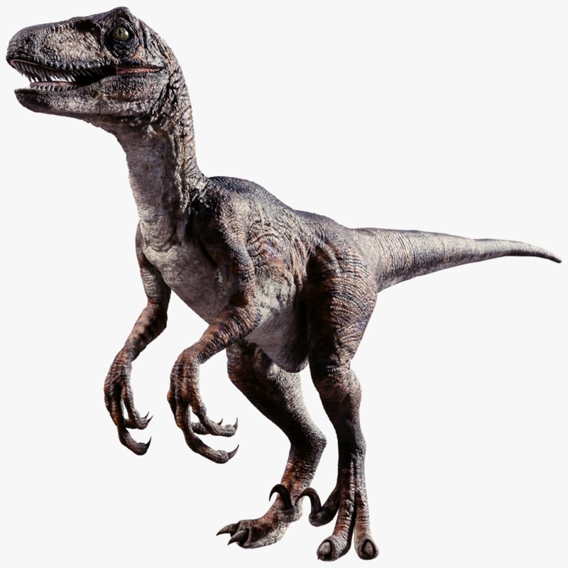 Dinosaur - Wikipedia