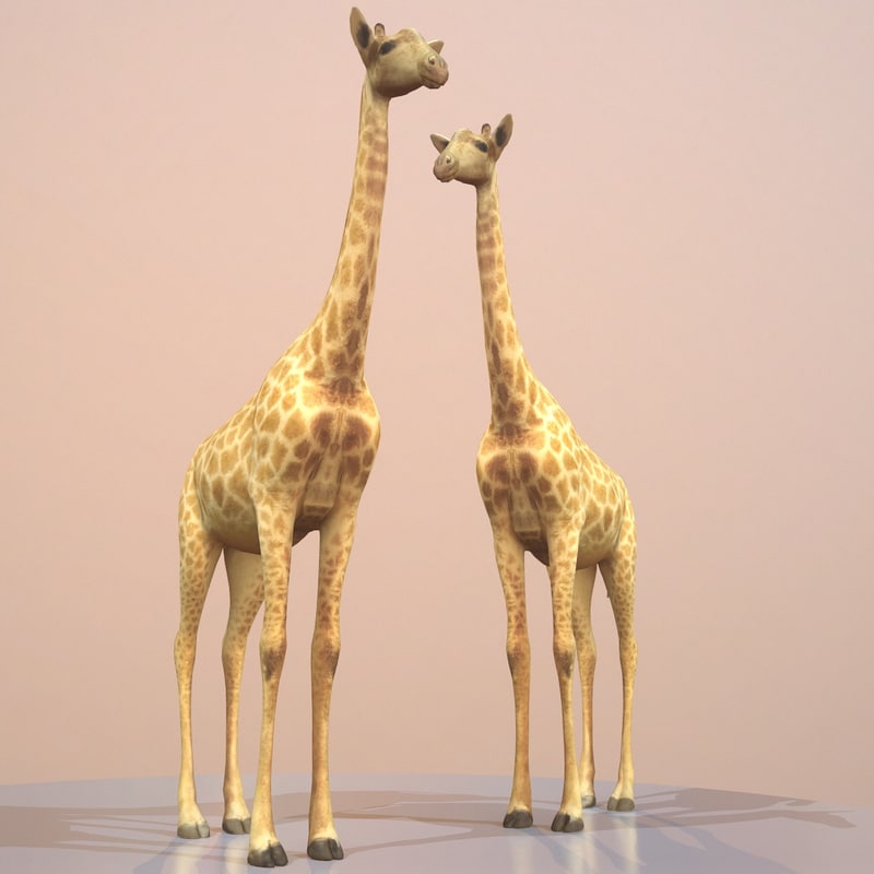 Rigged Giraffe 3d Model