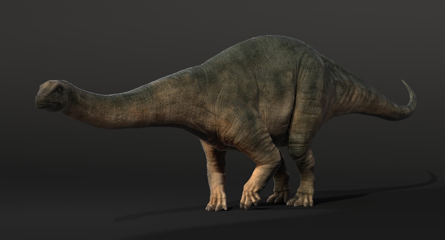 rex model t 3d free blender zbrush brontosaurus obj