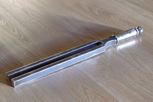 tuning-fork fork max