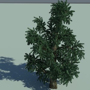 tree branch 3d max