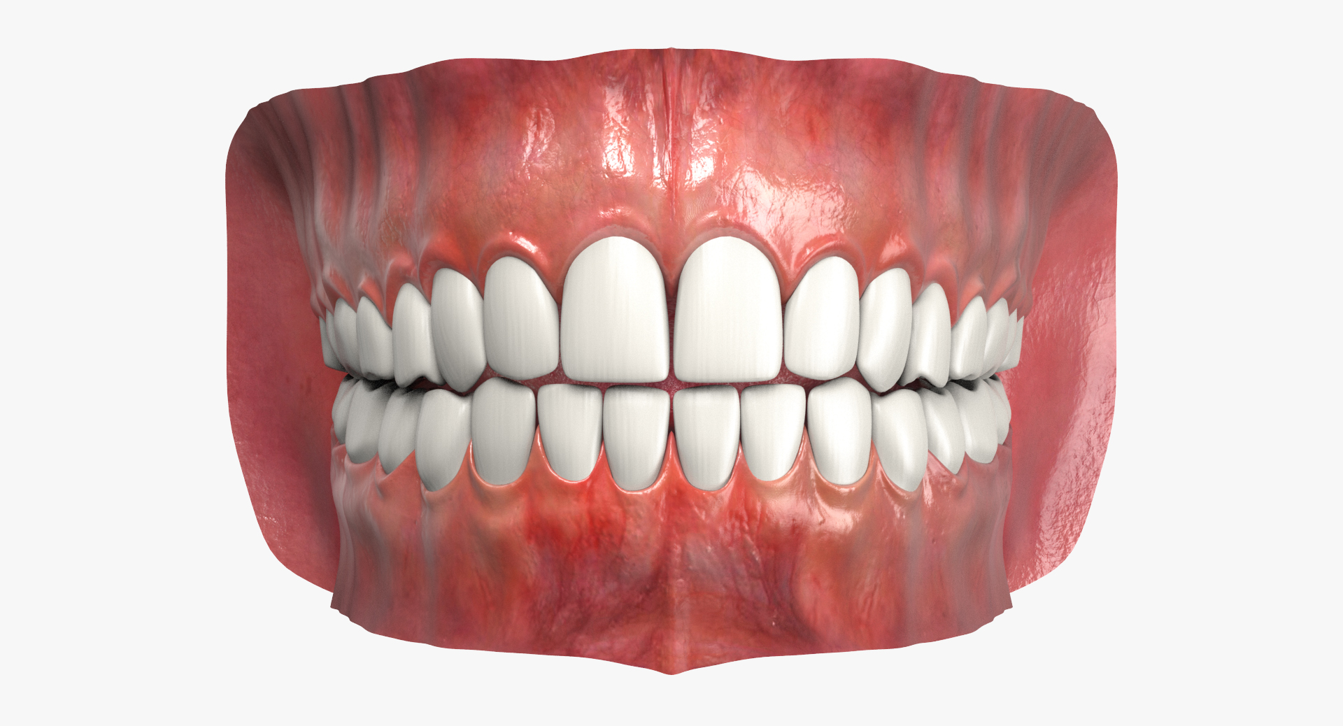 3d model jaw