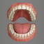 3d model of classic human dentition