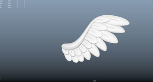3d model of wings