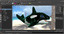 3d toy orca model