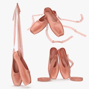 3d ballet shoes set