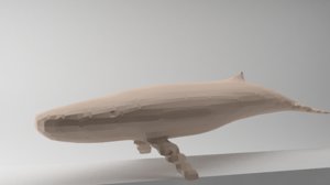 rigged whale 3d obj