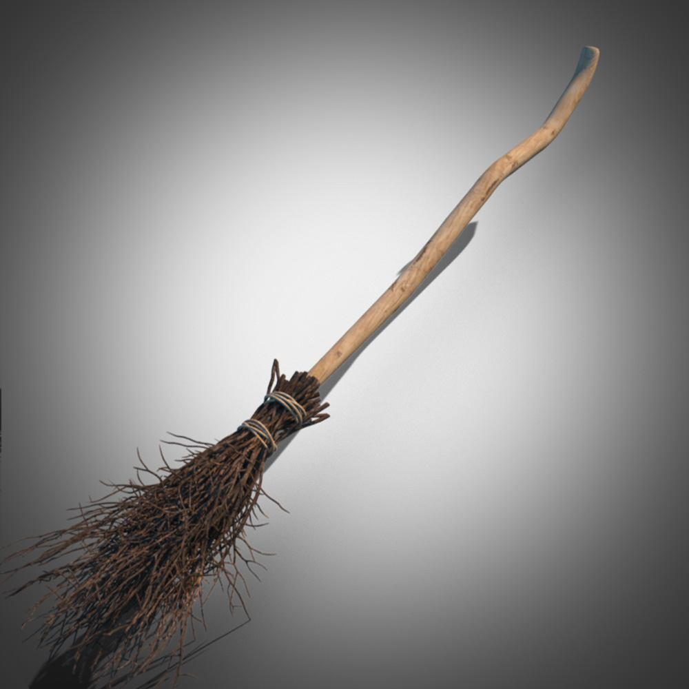 old broom max