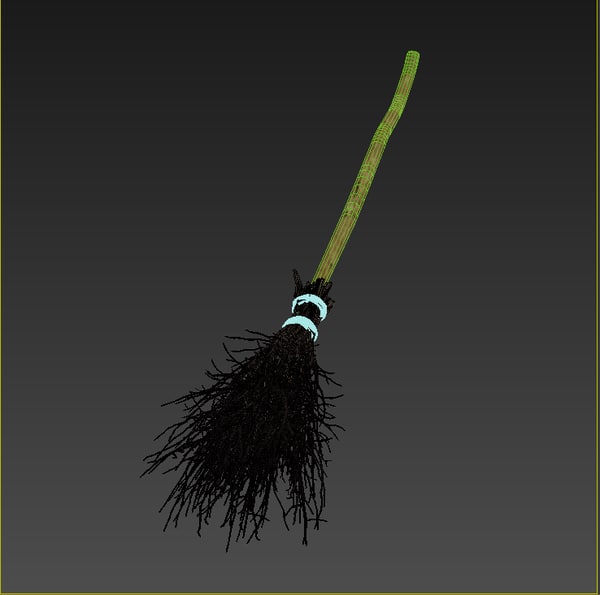 old broom max