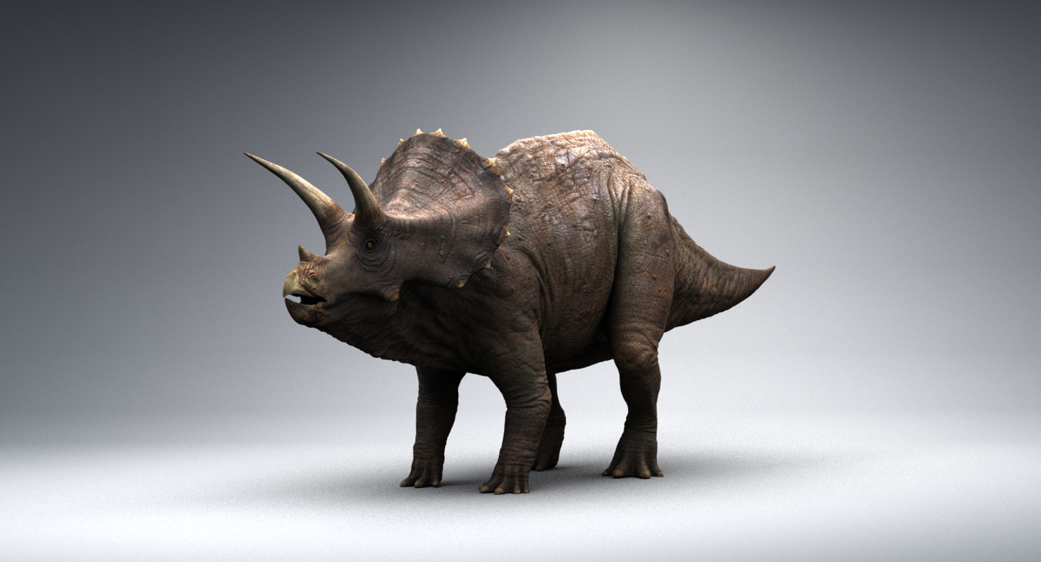 triceratops view in 3d