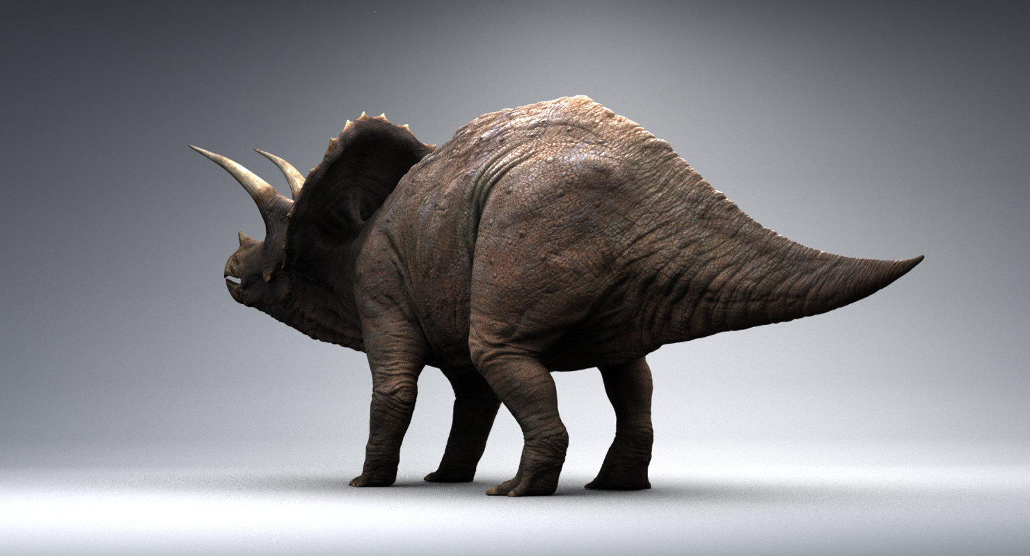 show me triceratops