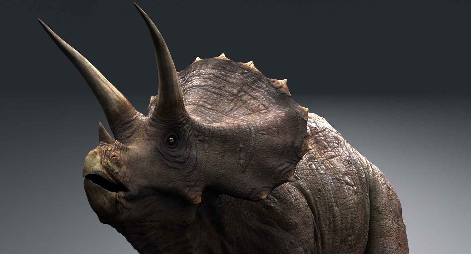 triceratops view in 3d