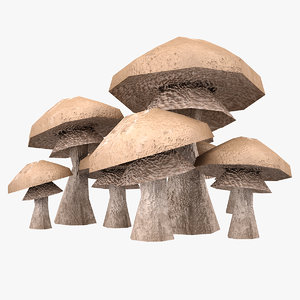 mushrooms 3d model