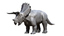 triceratops skeleton 3d model