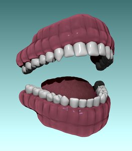 3ds teeth tongue