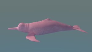 3d river dolphins botos pink model