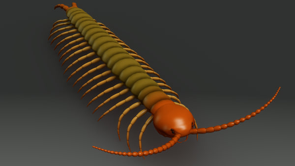 maya虫模型