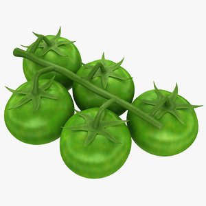 realistic cherry tomatoes green obj