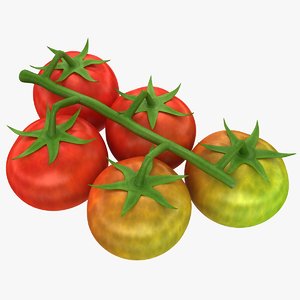 3d max realistic cherry tomatoes mix