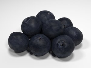 3d blueberries blue