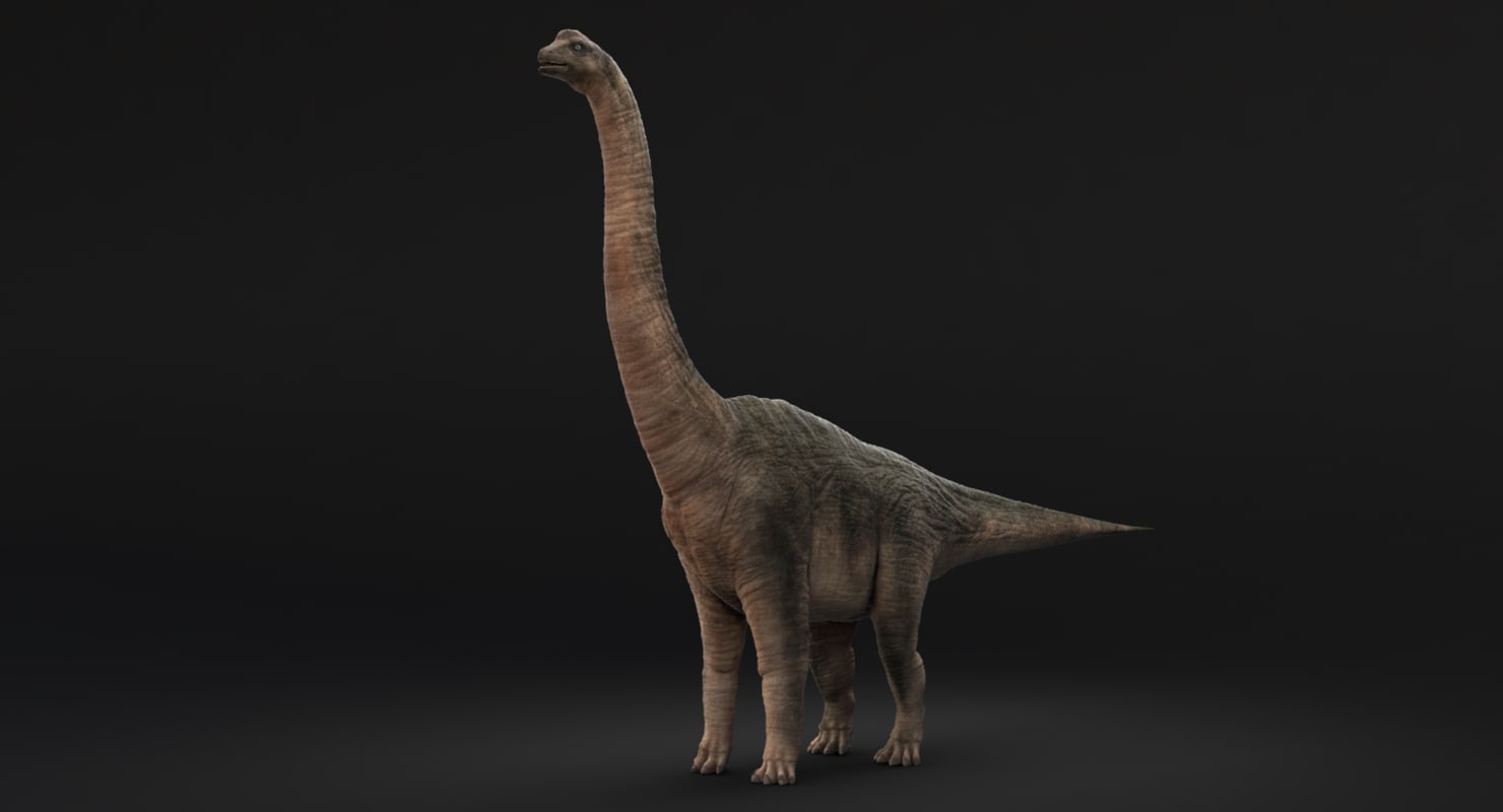 brachiosaurus 3d view