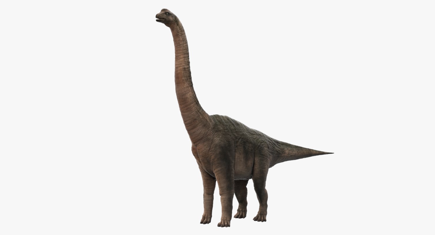 brachiosaurus 3d view