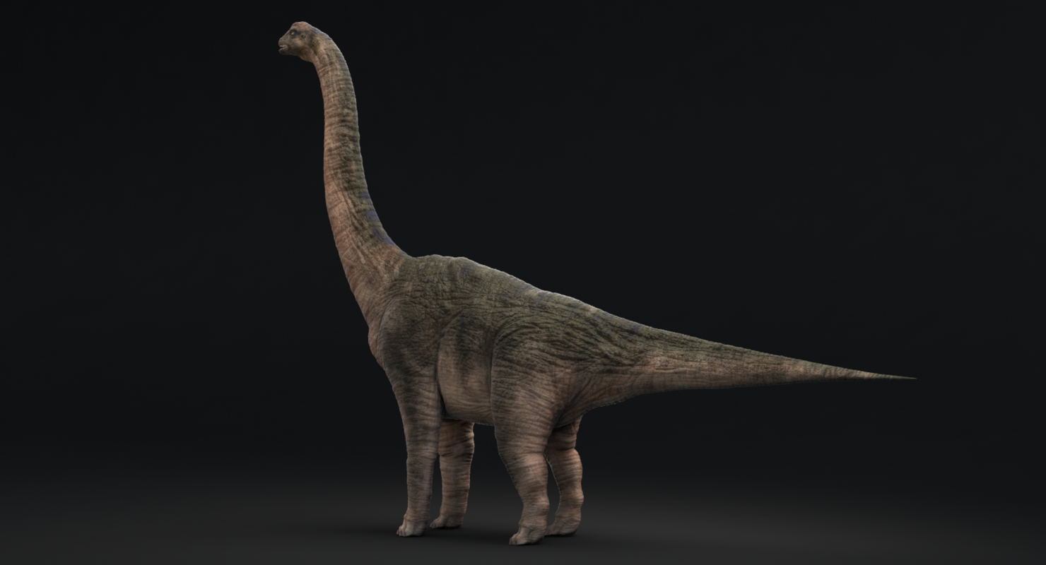 brachiosaurus 3d view