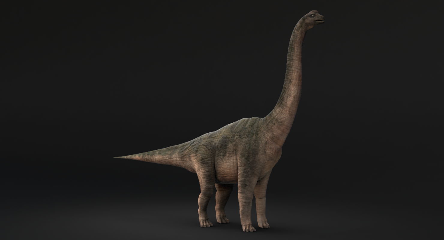 brachiosaurus 3d view