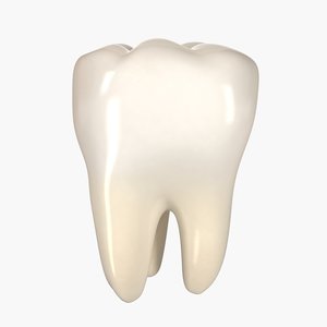 Teeth 3D Models for Download | TurboSquid