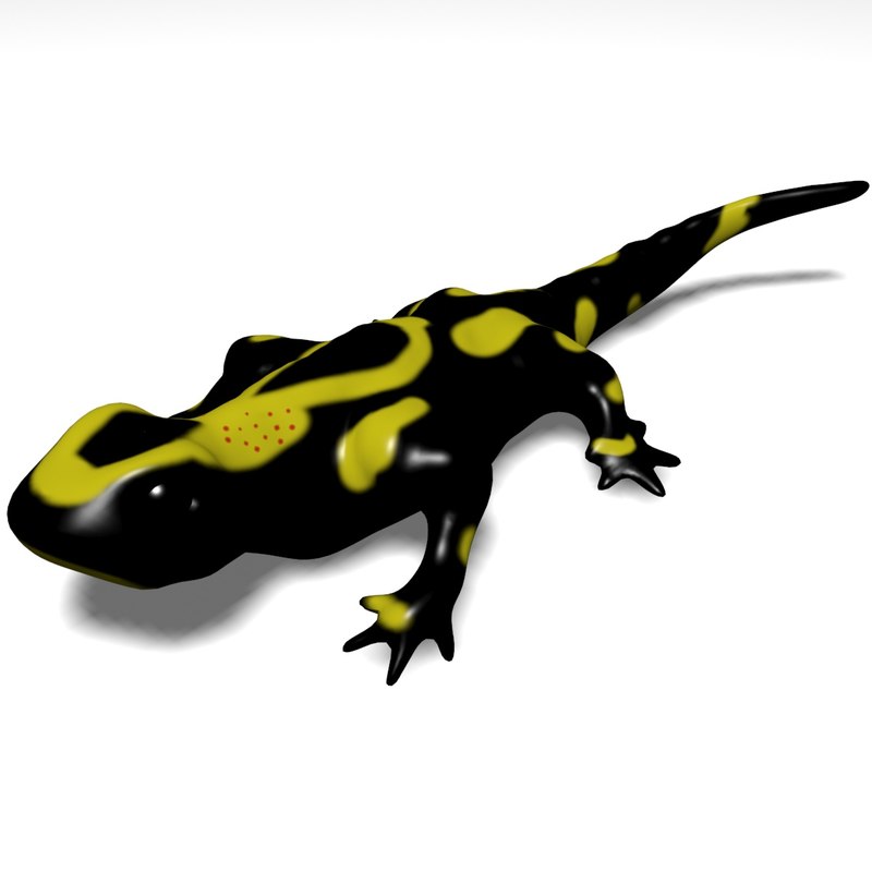 Защелка salamander 2d 3d md13