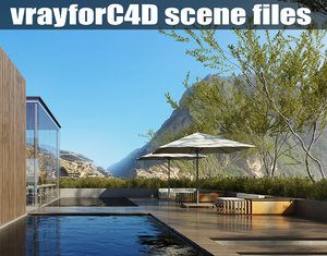 vrayforc4d scene files - 3d model