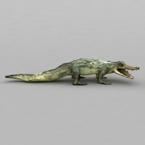 crocodile modelled scaled 3d 3ds