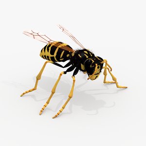 realistic wasp 3d model
