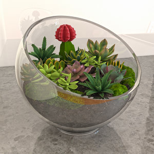succulent glass bowl max