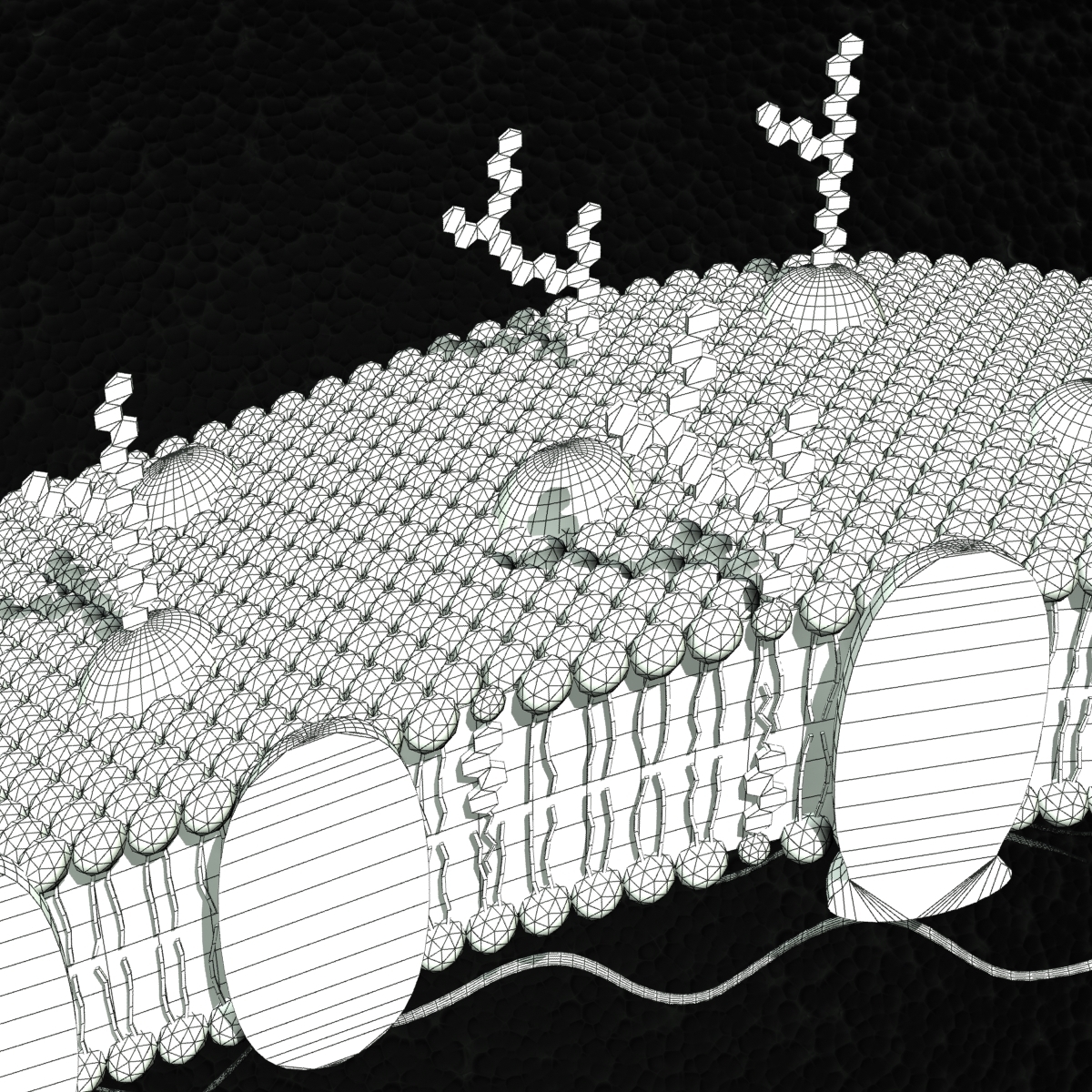 human cell 3d max