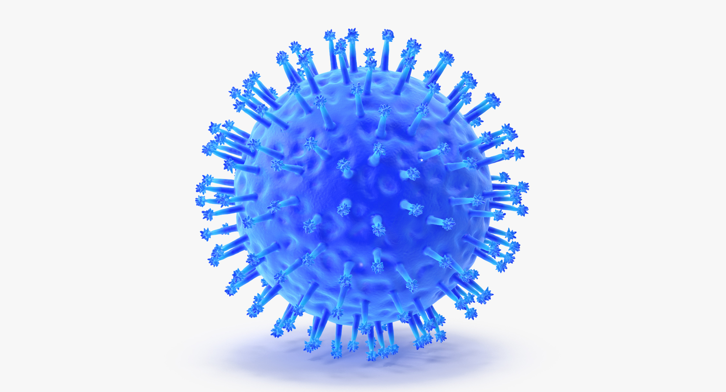 13 viruses virus 3d model