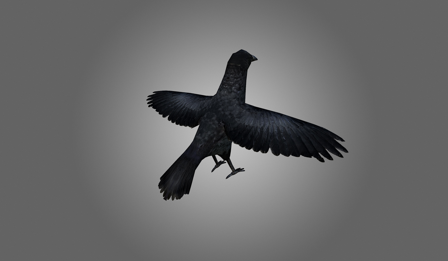 crow low-poly 3d 3ds