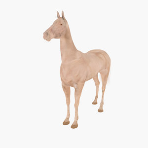 horse akhal-teke gold 3d max