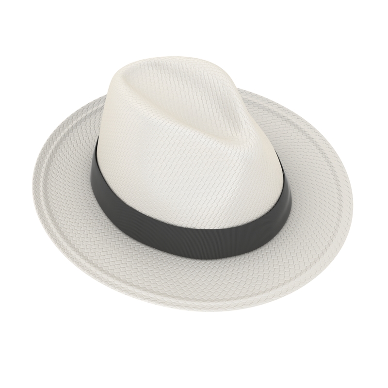 3d model panama hat