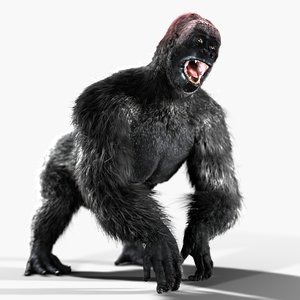 3d model gorilla animation