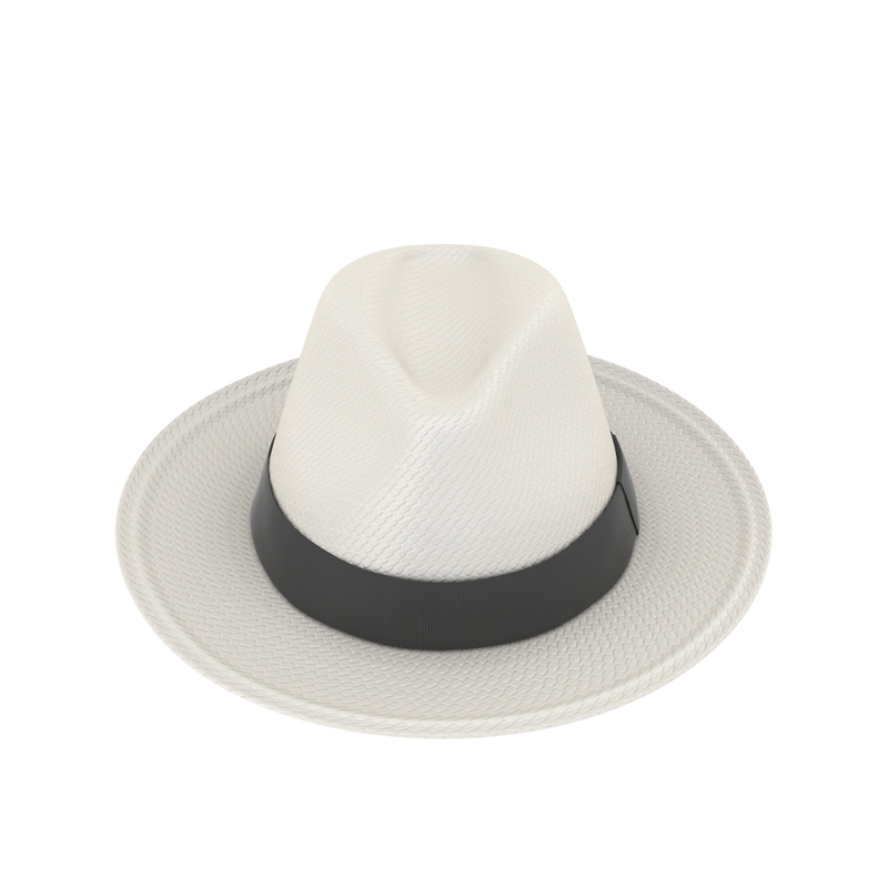 3d model panama hat