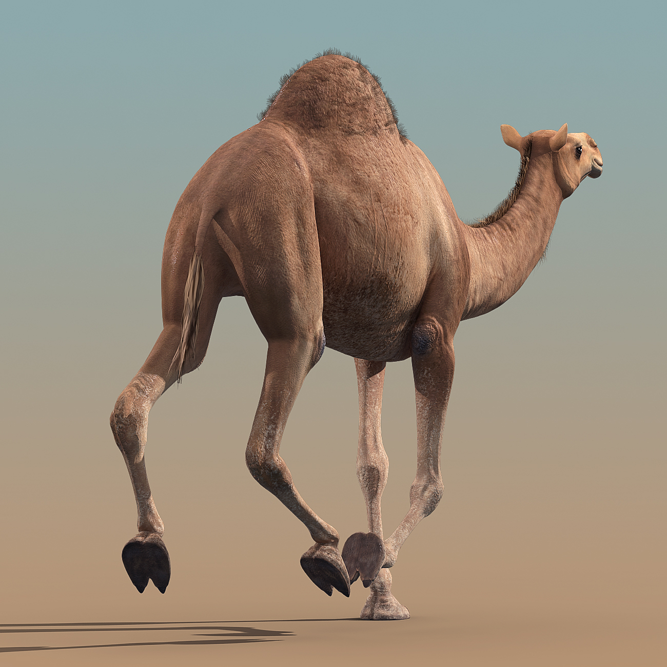 camel animation 3d max